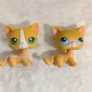 Littlest Pet Shop Tan Cats with Green and Blue Eyes